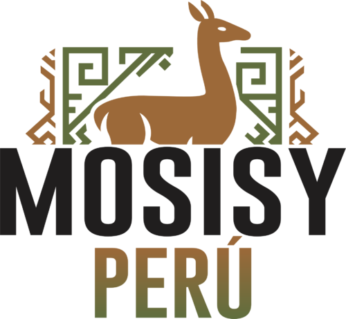 MOSISY PERÚ